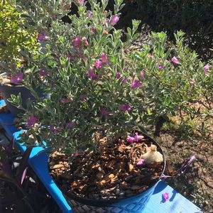 Meet your Posher, Raymond